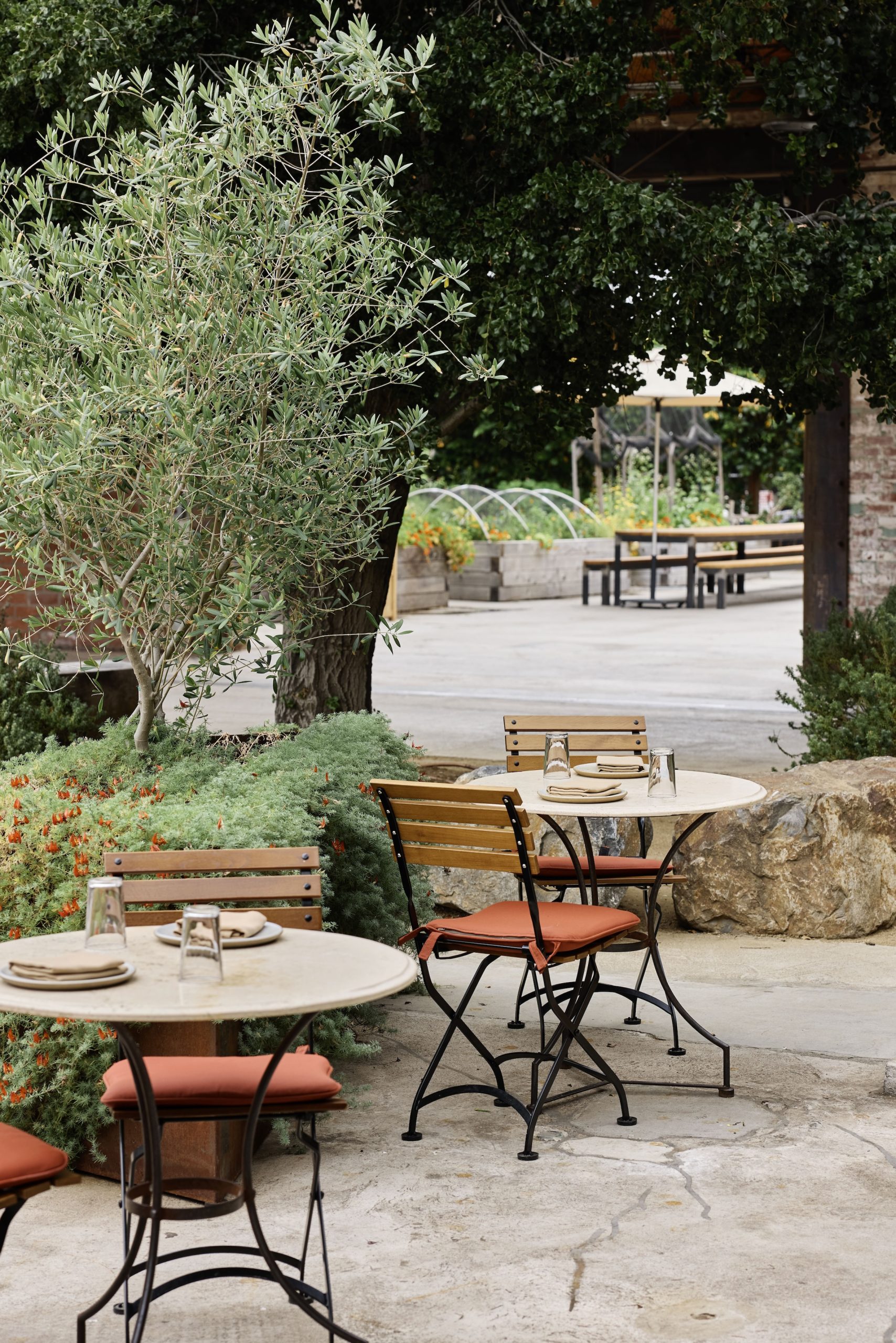 a table and chairs outside with trees and bushes